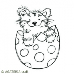 Kot w jaju
