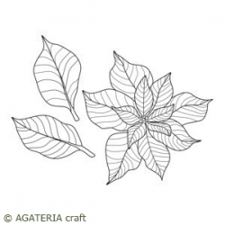 Gwiazda betlejemska 3 - kwiat + liście