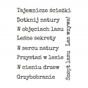 Zestaw napisów leśnych 3