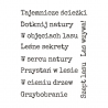 Zestaw napisów leśnych 3