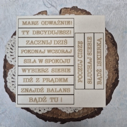 Zestaw napisów kobiecych 2 ( Marz odwaznie)