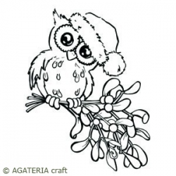 Owl on mistletoe