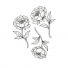Zestaw kwiatów Peonie – stempel do scrapbookingu